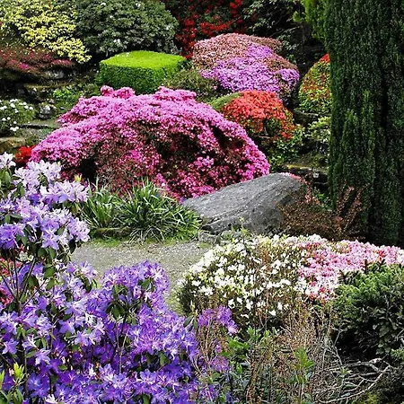 Chillout Polna - Parking *