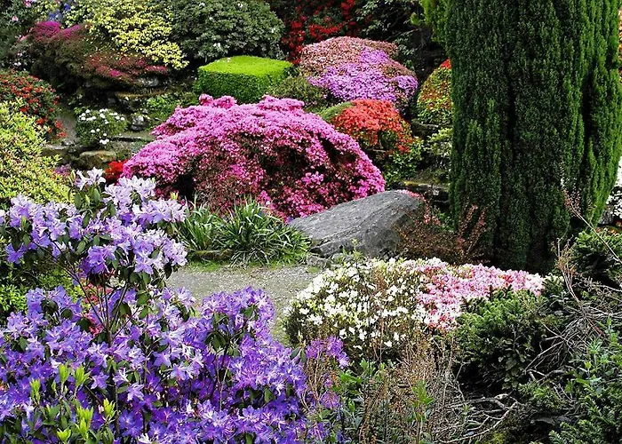 Chillout Polna - Parking *