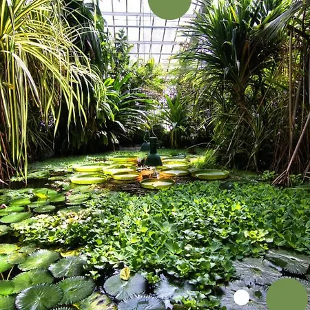 Apartamento Chillout Polna - Parking *