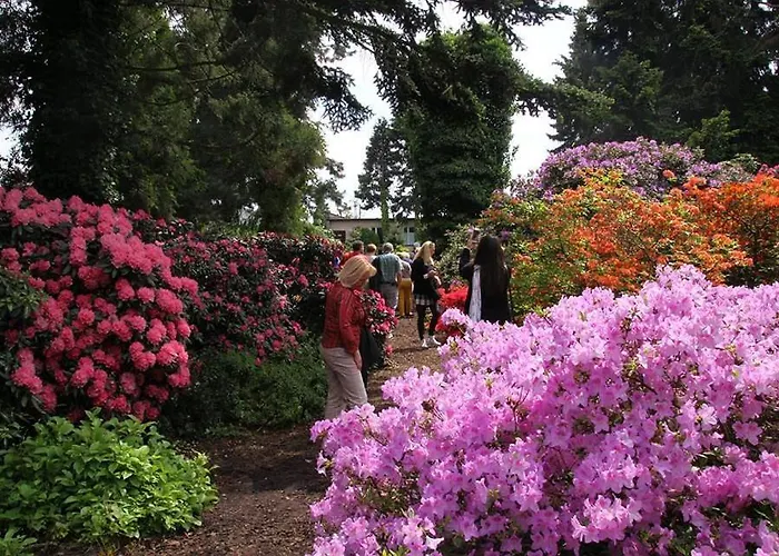 Appartement Chillout Polna - Parking Poznań