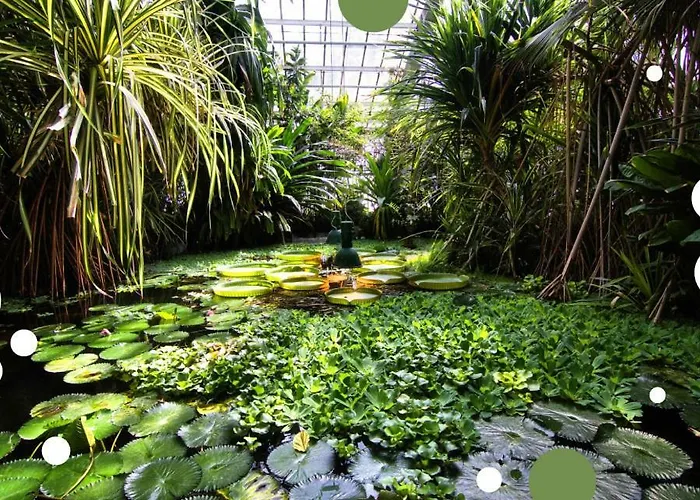 Appartement Chillout Polna - Parking *