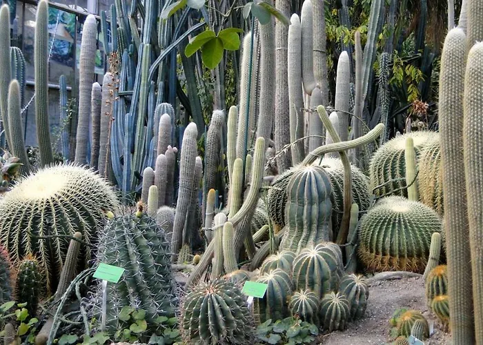 Appartement Chillout Polna - Parking