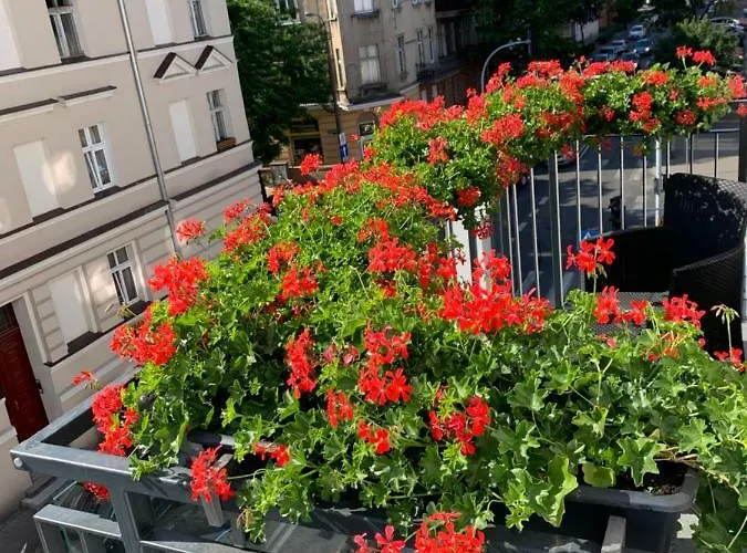 Chillout Polna - Parking * Poznan